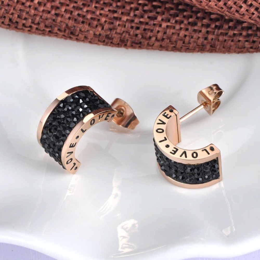 Stainless still earrings